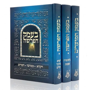B'Emek HaParshash V'HaMoadim 3 Volume Set / בעמק הפרשה והמועדים ג כרכים