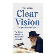 Clear Vision - The Rebbe's Guidance to Rabbi Asher Zeilingold