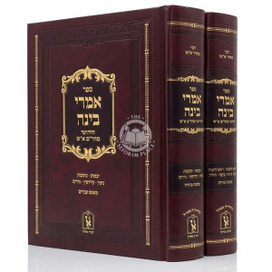 Imrei Binah - Chiddushei Maharam Ash Al HaShas 2 Volume Set / אמרי בינה חידושי מהר"ם א"ש על הש"ס ב כרכים