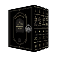 Ko Kisvei Rabeinu HaBaruch Ta'am / כל כתבי רבינו הברוך טעם ד"כ