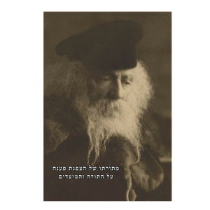 MiToroso Shel HaTzafnas Paneach Al haTorah U'Moadim Volume 5 / מתורתו של הצפנת פענח על התורה ומועדים חלק ה