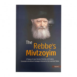 The Rebbe's Mivtzoim Vol. 2