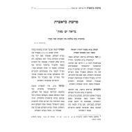 Dovid The Little Shepherd