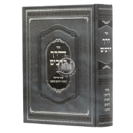 Derech Harabim Inyanei Eiruvin Vereshus Harabim Bizmaneinu  /  דרך הרבים עניני עירובין ורשות הרבים בזמננו