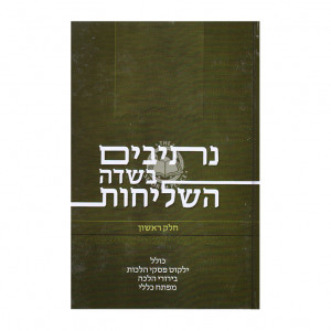 Nesivim Bisdei Hashlichus Vol 1 / נתיבים בשדה השליחות ח"א
