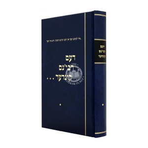 Dem Rebbins Kinder / דעם רבי'נס קינדער