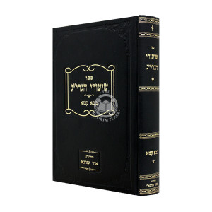 Shiurei HaGrig - Bava Kama / שיעורי הגרי"ג - בבא קמא