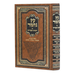 Eitz Nechmad Al Sheimos HaKodesh  /  עץ נחמד על שמות הקודש