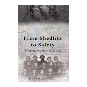 From Shedlitz to Safety