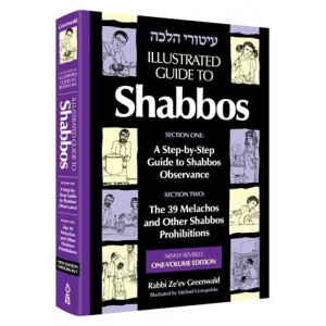 Illustrated Guide to Shabbos