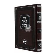 Shut Be'er Eisek  /  שו"ת באר עשק
