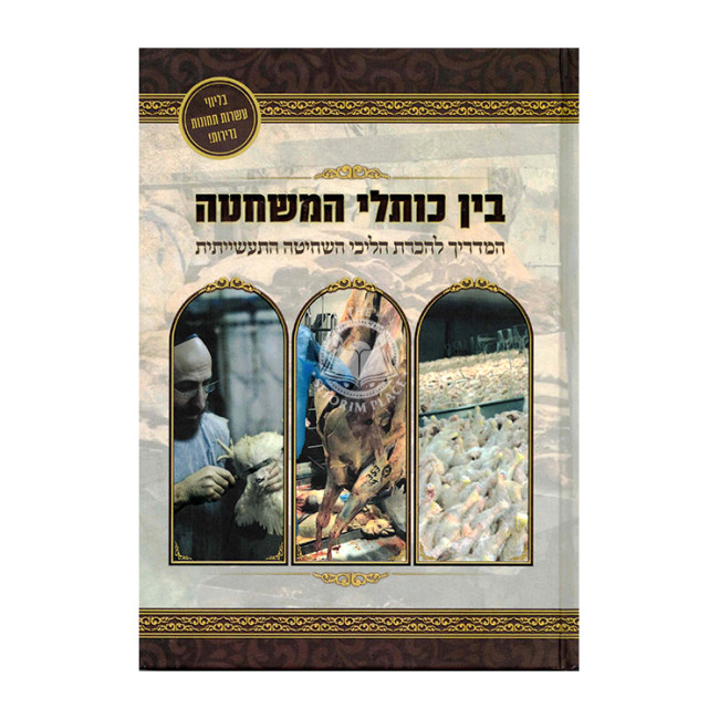 Bein Koslei HaMeshchata  /  בין כותלי המשחטה