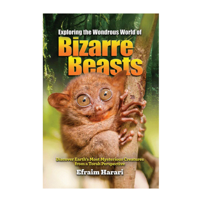 Exploring the Wondrous World of Bizarre Beasts