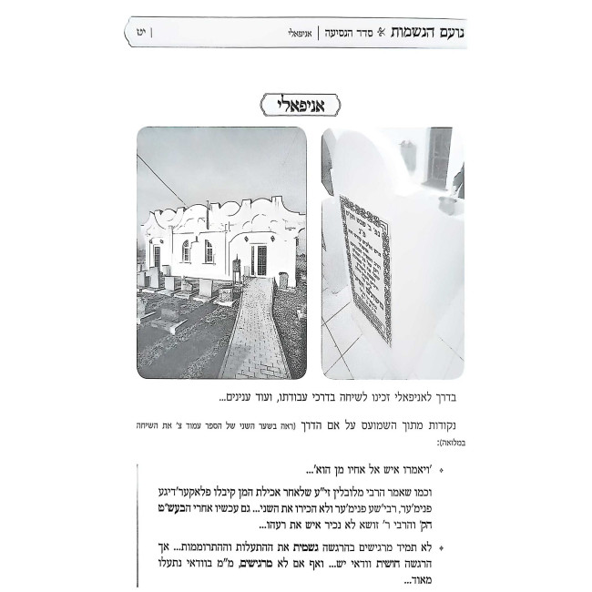 Noam HaNeshamos / נועם הנשמות