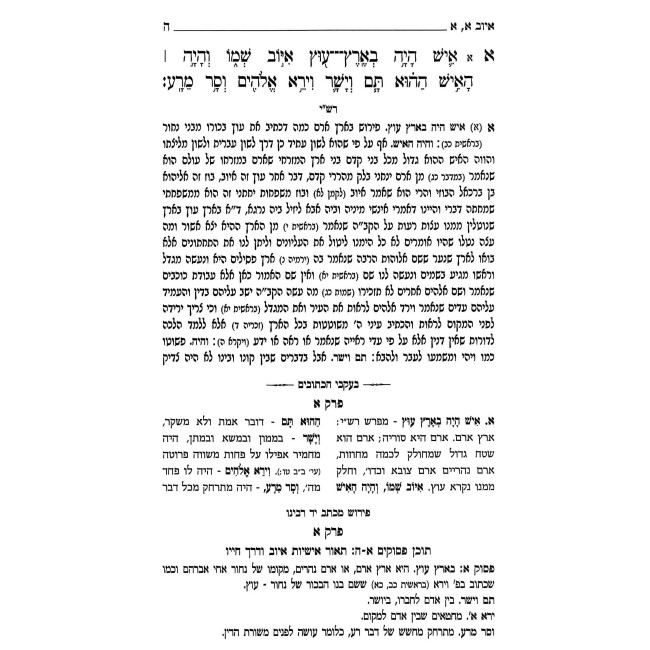 B'Ikvei HaKesuvim - Shiurim Al Sefer Iyuv  /  בעקבי הכתובים - שיעורים על ספר איוב