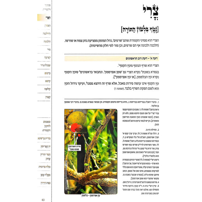 Vehashev Es Ha'Avodah Ketores - Pitum HaKetores   /   והשב את העבודה קטורת - פיטום הקטורת