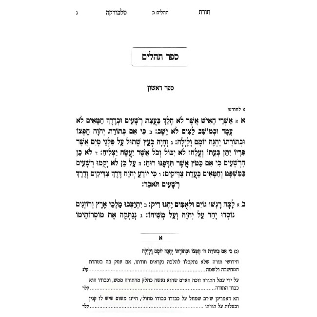 Toras Slobodka Al Tehillim / תורת סלבודקה על תהלים