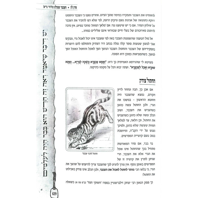 Haggadah Shel Pesach - Hayu Devarim MeiOlam    /    הגדה של פסח - היו דברים מעולם