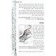Haggadah Shel Pesach - Hayu Devarim MeiOlam    /    הגדה של פסח - היו דברים מעולם