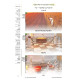 Vehashev Es Ha'Avodah Menachos Volume 2 - Minachos Tzibur / והשב את העבודה מנחות חלק שני - מנחות ציבור