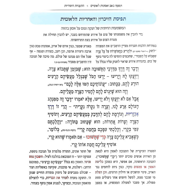 Shirah Chadasha - Tisha B'Av V'Asonos L'Umiyim / שירה חדשה - תשעה באב ואסונות לאומיים