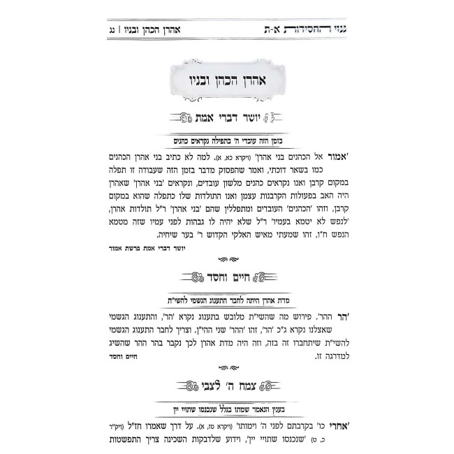 Ginzei HaChassidus Volume 5 / גנזי החסידות חלק ה