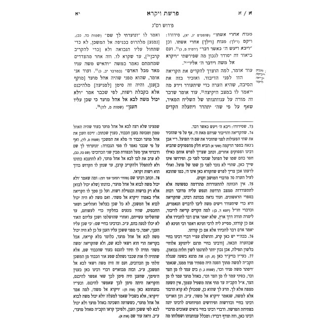 Pirush HaTorah L'Rav Sadya Gaon - Vayikra - Bechukosai 2 Volume Set / פירוש התורה לרב סעדיה גאון ויקרא - בחקתי ב כרכים