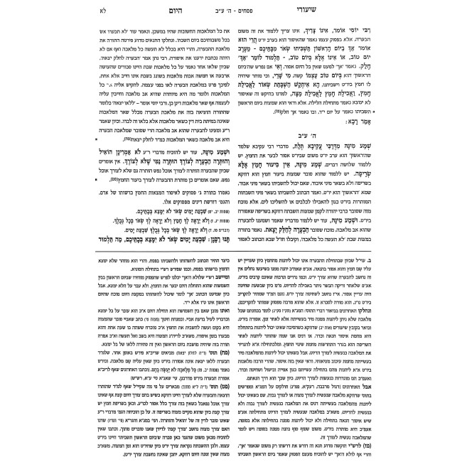 Shiurei HaYom - Pesachim Volume 1 / שיעורי היום - פסחים חלק א