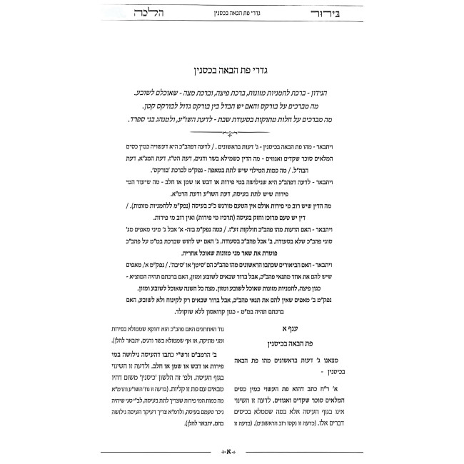 Birur Halacha Volume 2 / בירור הלכה חלק ב