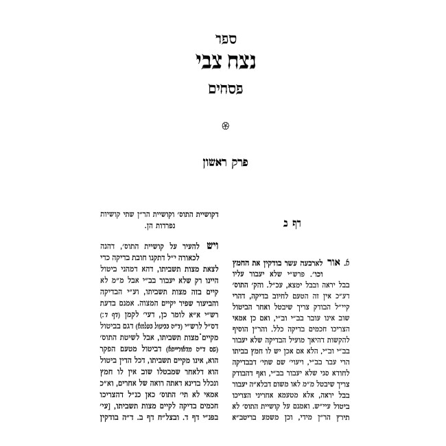 Netzach Tzvi - Pesachim / נצח צבי - פסחים