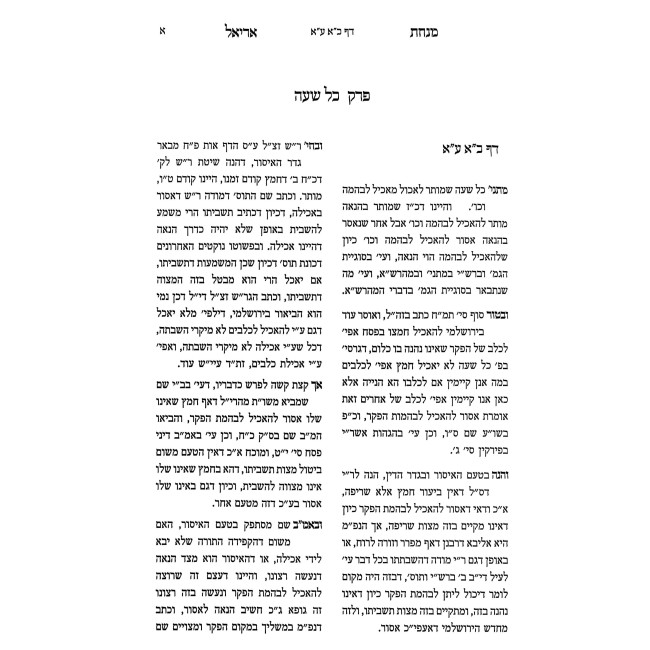 Minchas Ariel - Pesachim / מנחת אריאל - פסחים