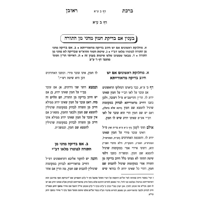Birchas Reuven - Pesachim / ברכת ראובן - פסחים