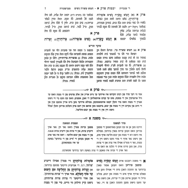 Mishnayos Yiddish - Nashim 2 Volume Set / משניות אידיש - נשים ב כרכים