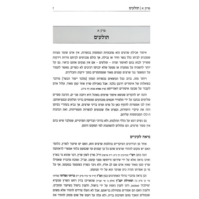 HaHashgachah K'Hilchasa / ההשגחה כהלכתה