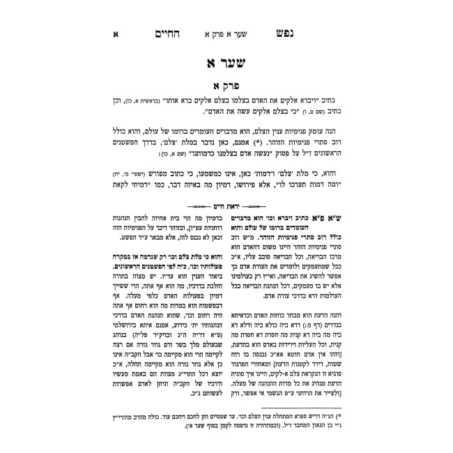 Nefesh HaChaim Im Biur Yiras Chaim Al Mesechta Avos / נפש החיים עם ביאור יראת חיים על מסכת אבות