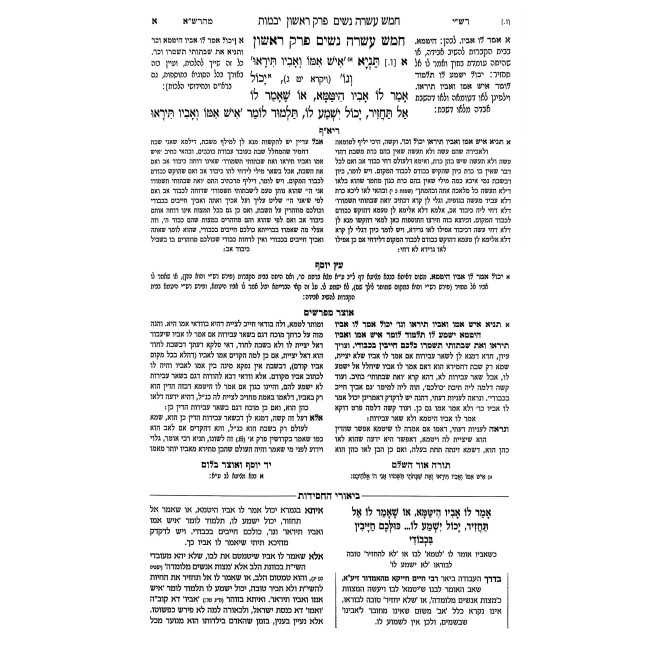 Ein Yakov Im Biurei HaChasidus - Yevamos, Kesubos, Nedarim, Nazir, Gitten (8) / עין יעקב עם ביאורי החסידות - יבמות, כתובות, נדרים, נזיר, גיטין (ח)