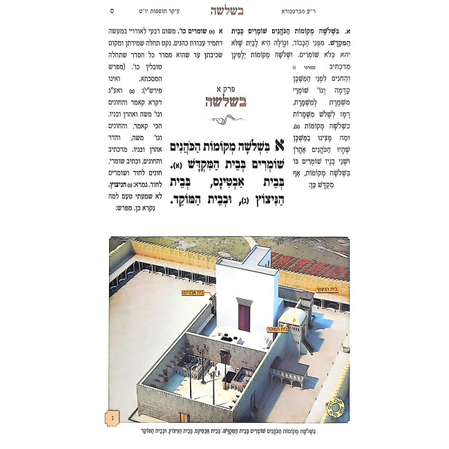 Mishnayos Kol HaLashon - Tamid / משניות קול הלשון - תמיד