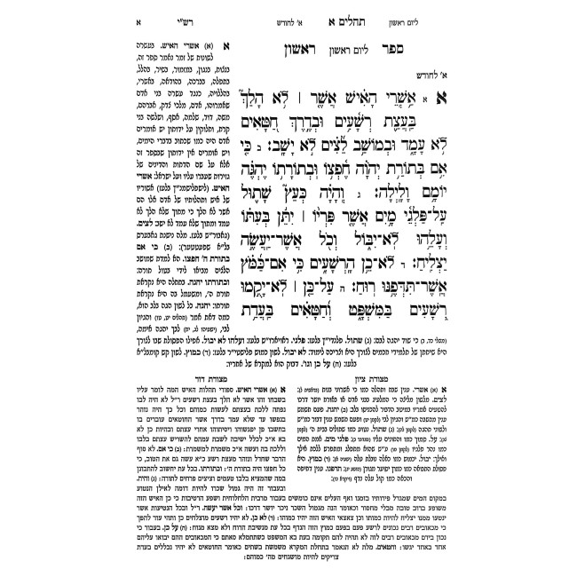 Sefer Tehilim Im Pirush Derash Msohe 2 Volume Set / ספר תהלים עם פירוש דרש משה ב כרכים