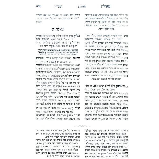 Shut Sh'ilas Yavetz HaChadash 2 Volume Set / שו"ת שאילת יעב"ץ החדש ב כרכים