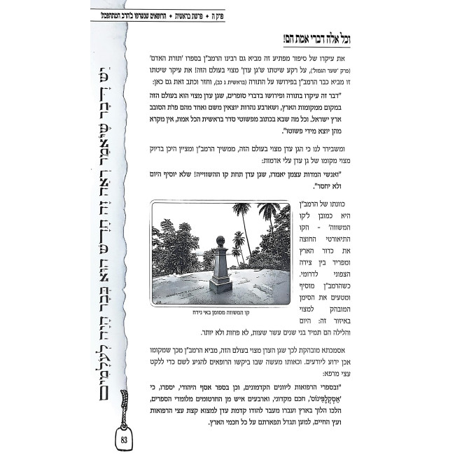 Hayu Devarim MeiOlam - Bereishis / היו דברים מעולם - בראשית