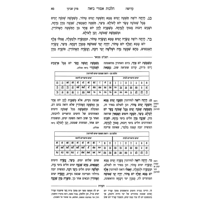 HaRambam HaMevuar - Kedusha - Mahadoras Brach / הרמב"ם המבואר - קדושה - מהדורת בראך