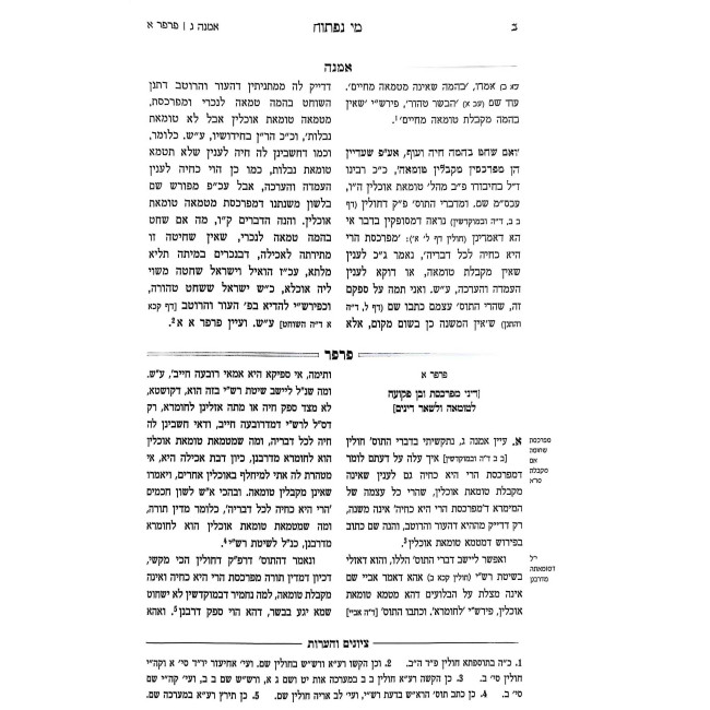Mei Naftoach Al Hakdomas HaRamabam L'Seder Taharos / מי נפתוח על הקדמת הרמב"ם לסדר טהרות