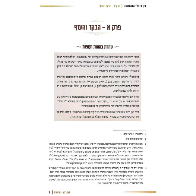 Bein Koslei HaMeshchata  /  בין כותלי המשחטה