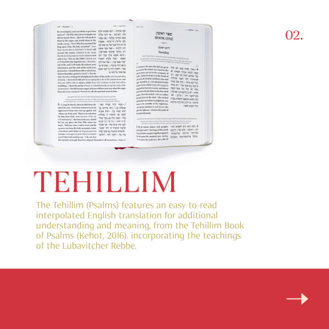 Chitas - Hebrew English Edition - Compact Size 