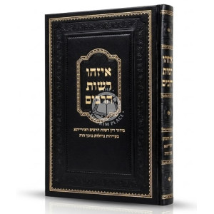 Eizehu Reshus HaRabim / איזהו רשות הרבים