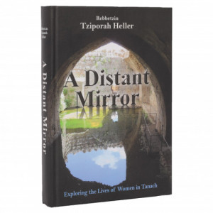 A Distant Mirror  