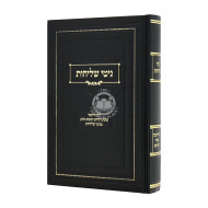 Gitei Shlichus / גיטי שליחות