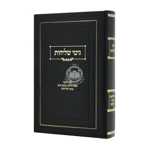 Gitei Shlichus / גיטי שליחות