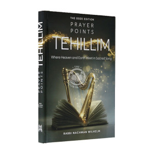 Prayer Points Tehillim