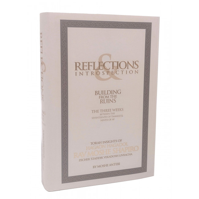 Reflections & Introspection Reflections & Introspection
